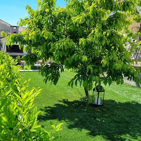 Luxa 5 Min Old Town, 10 Min Airport Apartamento Trogir Exterior foto
